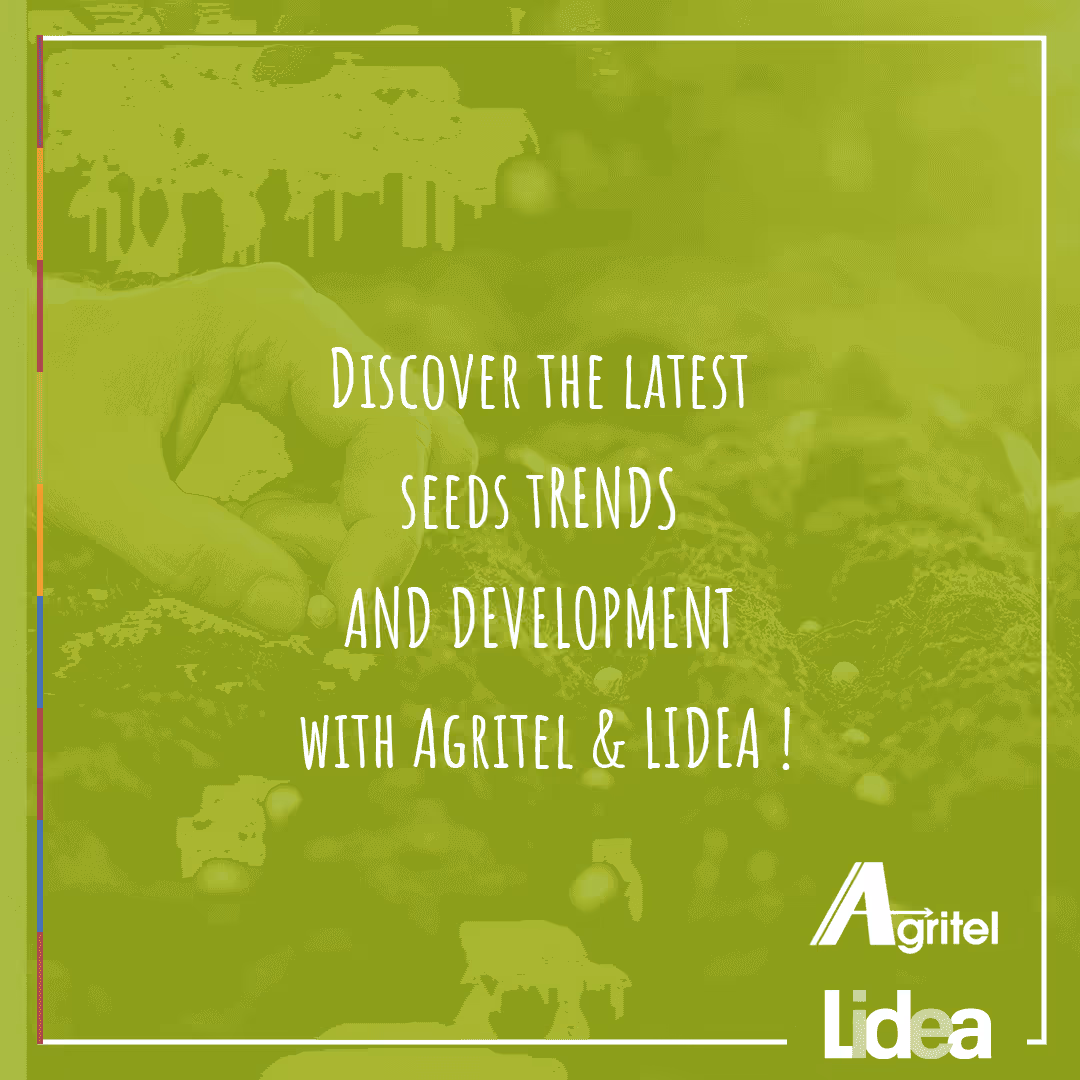 Lidea