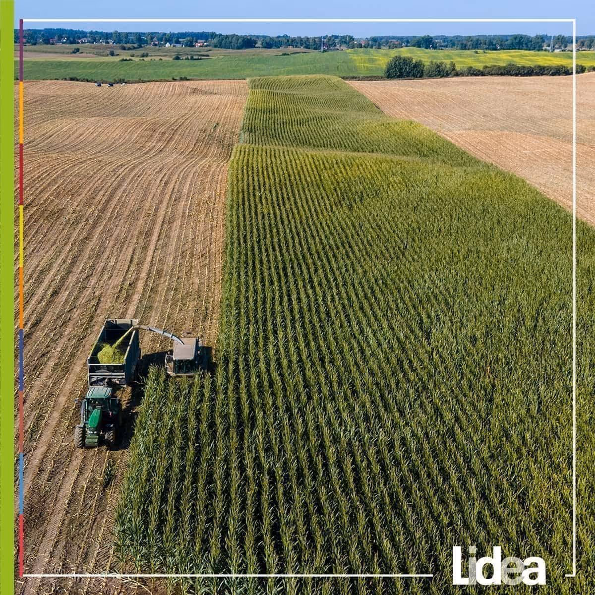 DISCOVER THE LATEST SEEDS TRENDS AND DEVELOPMENTS WITH AGRITEL & LIDEA!